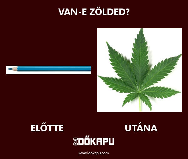 Van-e zölded?
 
 title=