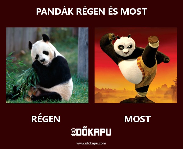 Pandák régen és most
 
 title=