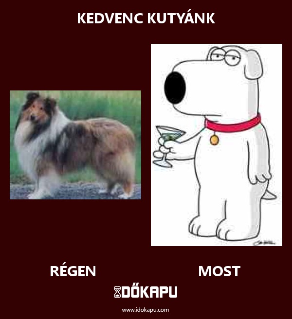 Kedvenc kutyánk
title=