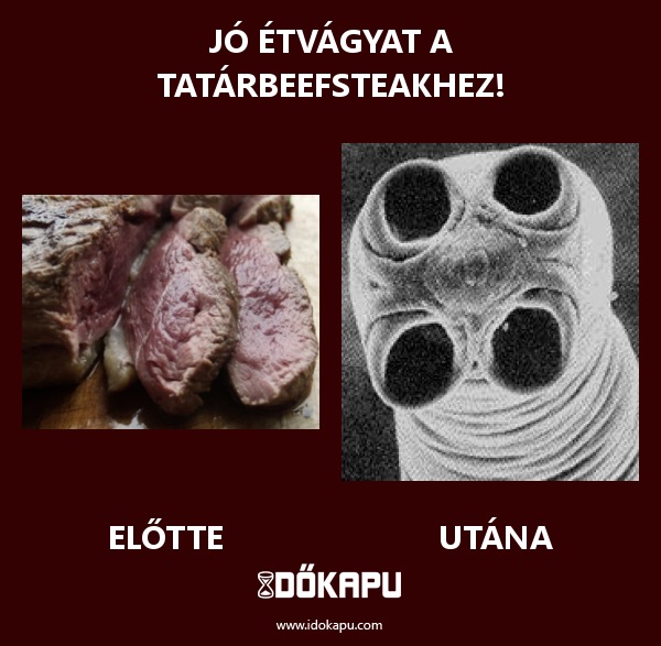 Jó étvágyat a tatárbeefsteakhez!
 
 title=