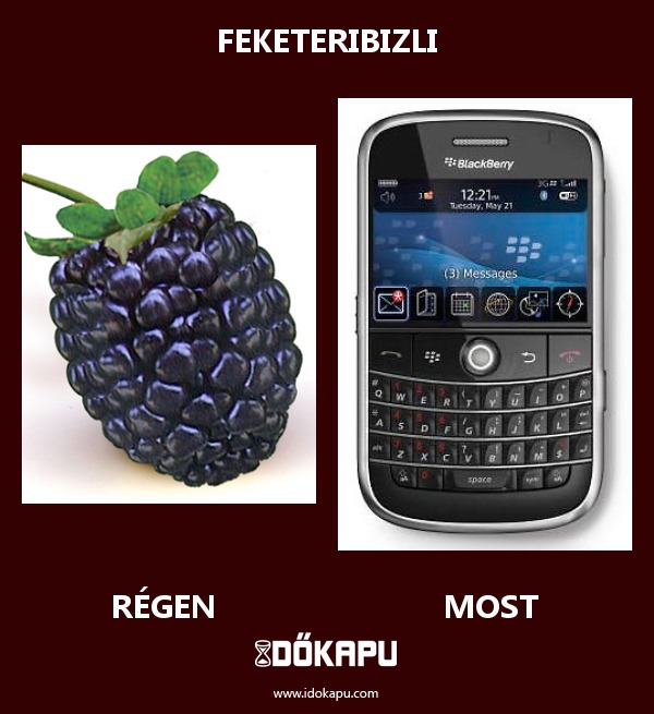 Feketeribizli
 
 title=