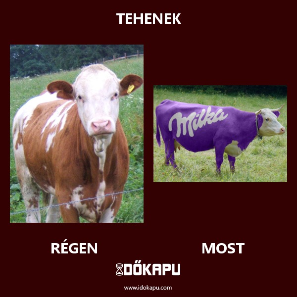 Tehenek
 
 title=