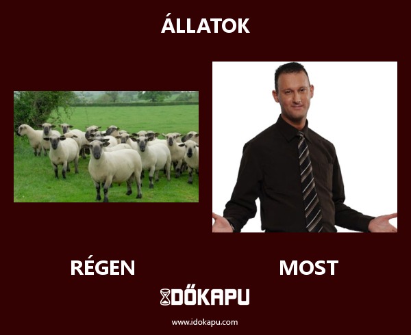 állatok
 
 title=