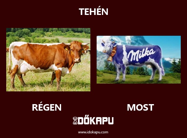 Tehén
title=