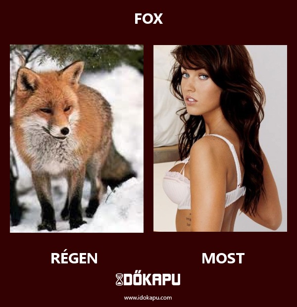 Fox
 
 title=