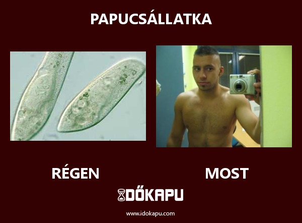 PAPUCSÁLLATKA
 
 title=