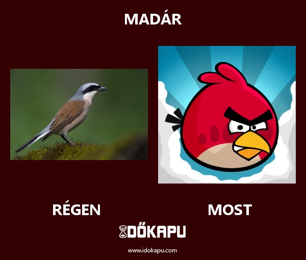 madár
title=