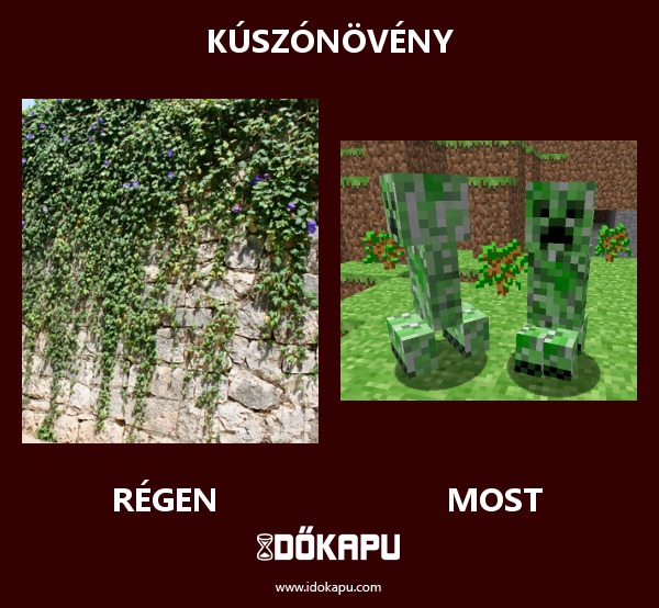 Kúszónövény
 
 title=