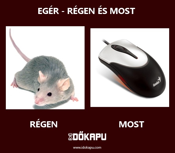 Egér - régen és most 
 
 title=