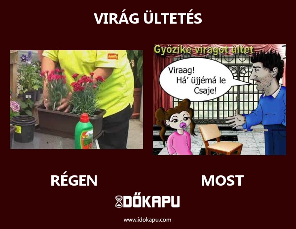 Virág ültetés
title=