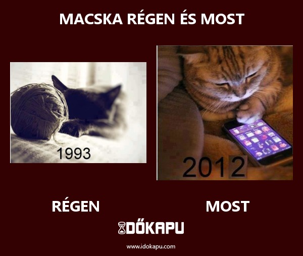 Macska régen és most
 
 title=
