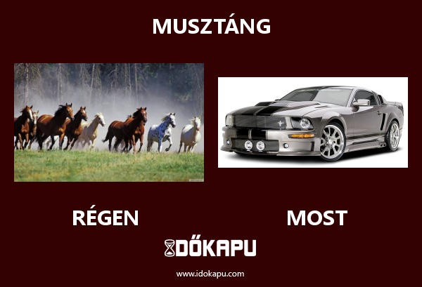 Musztáng
title=