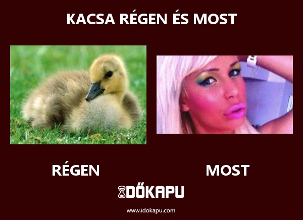 kacsa régen és most
 
 title=
