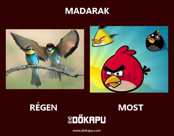 madarak
 
 title=