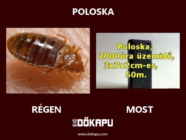 Poloska
 
 title=